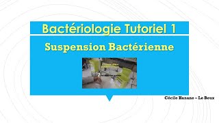 Bactériologie Tutoriel 1  Faire une suspension bactérienne [upl. by Lorrimor361]