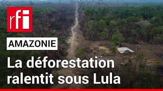 Brésil  la déforestation en Amazonie recule • RFI [upl. by Clarkson]