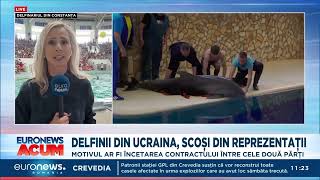 Delfinii din Ucraina scoși din spectacolele de la Delfinariul Constanța [upl. by Hadihsar]