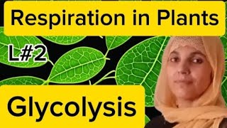 Plant PhysiologyL2Glycolysis Respiration in plantsNEETMDCATall Board Exam [upl. by Darci102]