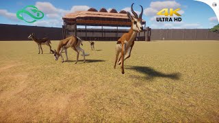 Springbok Planet Zoo Gameplay 4K HD 60FPS [upl. by Zeralda364]