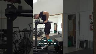 DIP meglio a GAMBE PIEGATE o TESE🤔‼️ perte streetlifting calisthenics dip [upl. by Trenna]