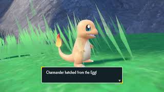 How to get Charmander and Charizard in Pokémon Scarlet and Violet [upl. by Rodenhouse]