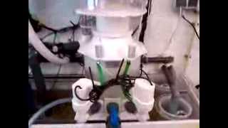 Protein skimmer Deltec TC 3070 [upl. by Ardeth]