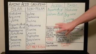 Amino Acid Grouping  Basics for Beginners  Biochemistry Lesson [upl. by Melville]