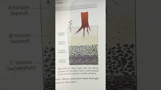 Soil Profile Soils agriculture Geography [upl. by Aineg33]