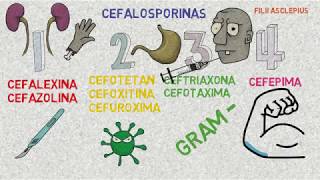 Cefalosporinas [upl. by Enayr]