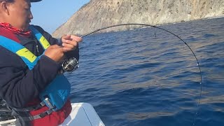 Blue Fin Tuna on Ultra Light Gear  Catalina Island [upl. by Yecnahc]