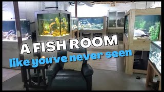 Fish Room Tour  Giant Tanks Rare Fish and one Extraordinary Hobby [upl. by Lissi]