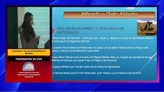 SEGURIDAD Y SALUD OCUPACIONAL EN MINERÍA [upl. by Kceb]