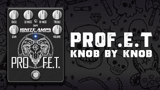 ProFET by Ignite Amps  KNOB by KNOB  Devils Lab [upl. by Teirtza]