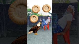 Rounding coconut biscuits to Ostrich Crow Duck amp Eagle  Birds names magic video [upl. by Elletsyrc]