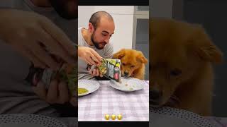 Sorry dog 🐶 petcommunity funny funnydog petloversunite pets duet funnypet funnyanimal funny [upl. by Yoho936]