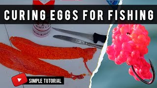 How to Cure Salmon Eggs for Bait and PROVEN Fishing Success [upl. by Asoramla598]