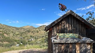 Having Fun in Bisbee AZ [upl. by Gerladina740]