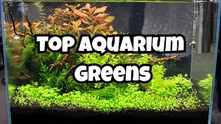 11 Best Aquarium Carpet Plants 🌿 [upl. by Remde]