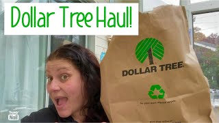 Dollar Tree Haul 🛍️ Come hang out April 19 2024 [upl. by Andrew627]