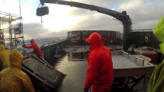 Bering Sea Opilio Crab Fishing [upl. by Aztiley94]