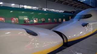 JR東日本 新幹線 東京駅 18時台の発着 Shinkansen Tokyo Station 2013 [upl. by Gokey]