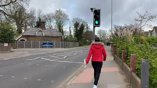 Pedestrian Crossings explained Driving theory test help [upl. by Nonnahc58]