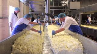 Cheese Making Process [upl. by Kress375]