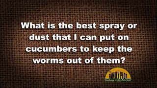 QampA – How do I keep the worms out of my cucumbers [upl. by Rotceh877]