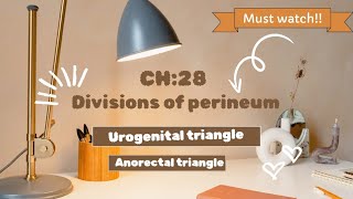 perineum  easiest explanation of urogenital triangle and ischeoanal fossa [upl. by Akkeber]