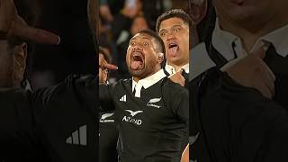 Powerful Haka in Wellington allblacks haka rugby [upl. by Chappell]