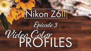 Z6ii Video Color Profiles [upl. by Yasmeen]