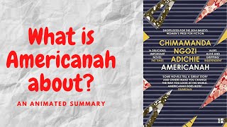 Americanah by Chimamanda Ngozi Adichie [upl. by Kcub795]