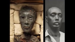 The cephalic index of king Tut and Akhenaten  yes The Kings Monologue was wrong Part 1 [upl. by Verda]