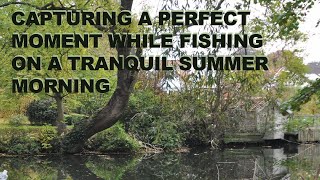 Fishing my favourite pond in North Norfolk to capture a perfect moment on a tranquil summer morning [upl. by Anelav]