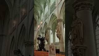 St Rumbolds Cathedral Mechelen Belgium Please subscribe my channel to see more thanksbelgium [upl. by Budding801]