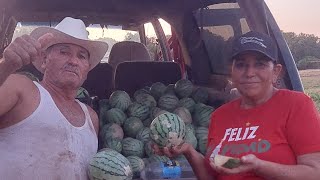 Cosechando las bendiciones que sembramos Sandias dulces y coloradas [upl. by Yxel865]