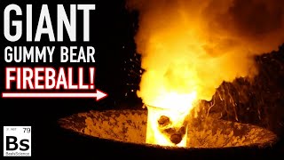 Giant Gummy Bear Fireball  Sugar and Sodium Chlorate Reaction [upl. by Thorvald975]