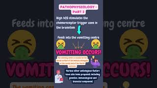 Why Does Hyperemesis Gravidarum Happen Pathophysiology Explained 🤰 [upl. by Karalynn546]