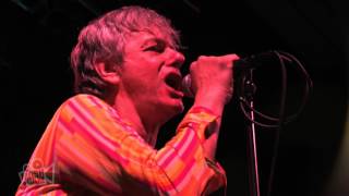 The Fleshtones  The Dreg Live at Dig It Up Sydney  Moshcam [upl. by Nelyak326]