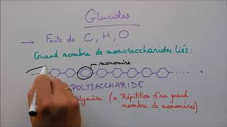 Molécules du vivant 2  Les glucides [upl. by Ketchum]