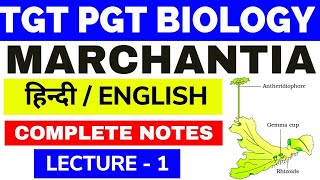 MarchantiaMarchantia ClassificationMarchantia BryophyteClassification of MarchantiaMarchantia1 [upl. by Odlonyer569]