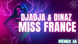 DJADJA amp DINAZ  MISS FRANCE REMIX IA [upl. by Jandel]