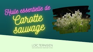 Propriétés de lhuile essentielle de Carotte [upl. by Ecilahc]