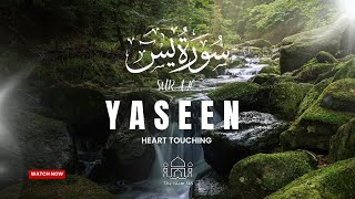 Surah Yaseen Complete  سورة يس  Surah Yaseen with lyrics  Beautiful Recitation Surah Yaseen [upl. by Paulsen]