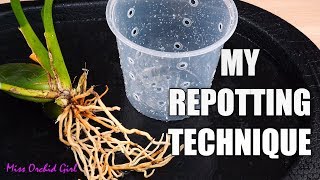 How I repot Oncidium Orchids Vs other growers  Multiple techniques for success [upl. by Winfrid910]