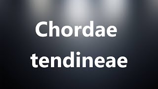 Chordae tendineae  Medical Meaning and Pronunciation [upl. by Eiznil]