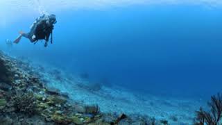 Explore underwater with me Great dive site by Tokashiki Island  move your phone to see around [upl. by Iblok807]