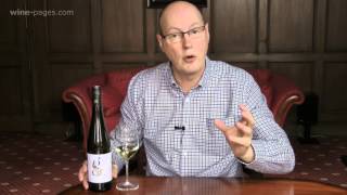 Morrisons Gruner Veltliner Austria wine review [upl. by Bowie747]