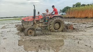 jute land cultivation with tractor  CASE JX55T model tractor plowing video [upl. by Natehc977]