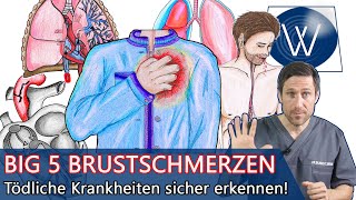 Brustschmerzen  Die Big 5 Die schlimmsten Ursachen amp Krankheiten bei Schmerzen in der linken Brust [upl. by Jori]