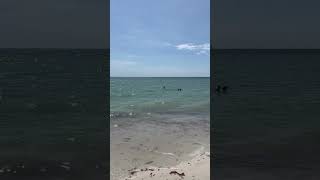 Naples beach today [upl. by Wharton606]