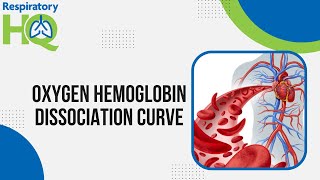 Oxygen Hemoglobin Dissociation Curve [upl. by Ecnerwaled]